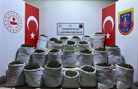 Diyarbakır’da 435 kilogram esrar ele geçirildi